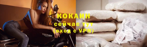 ПСИЛОЦИБИНОВЫЕ ГРИБЫ Вязьма